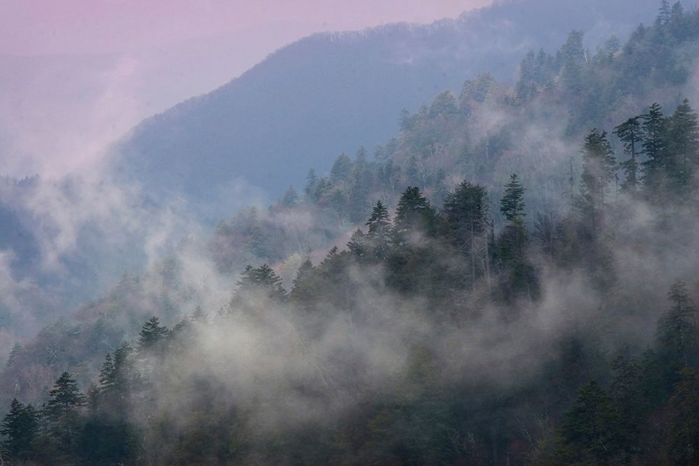 Mountain Clouds at Newfound Gap-Smoky Mountains National Park-Tennessee-USA